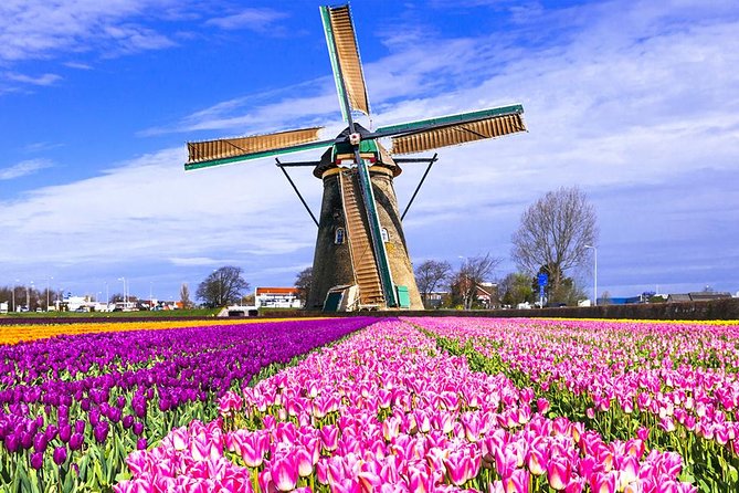 Amsterdam Highlights & Zaanse Schans Private Tour - Pickup and Transportation