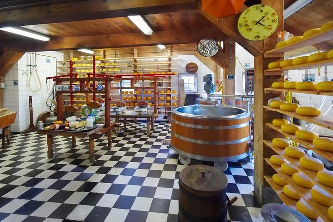 Amsterdam Highlights & Zaanse Schans Private Tour - Private Tour Experience