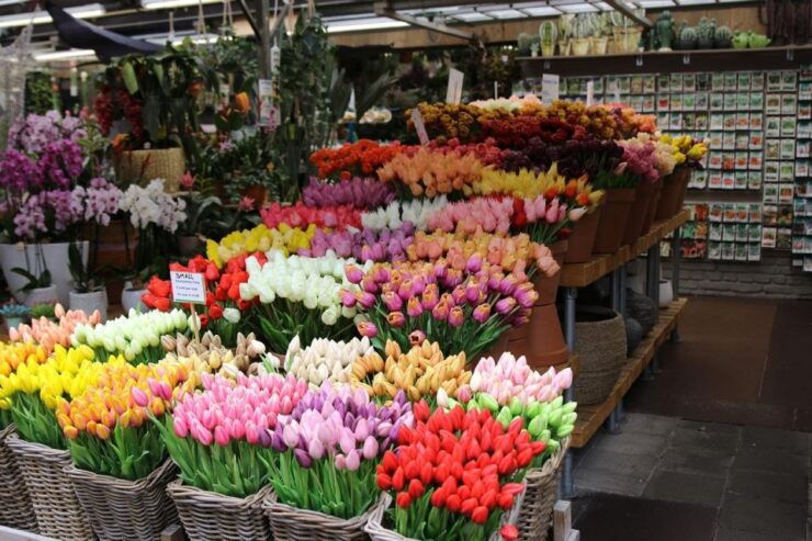 Amsterdam: Historic City Center Guided Walking Tour - Activity Details