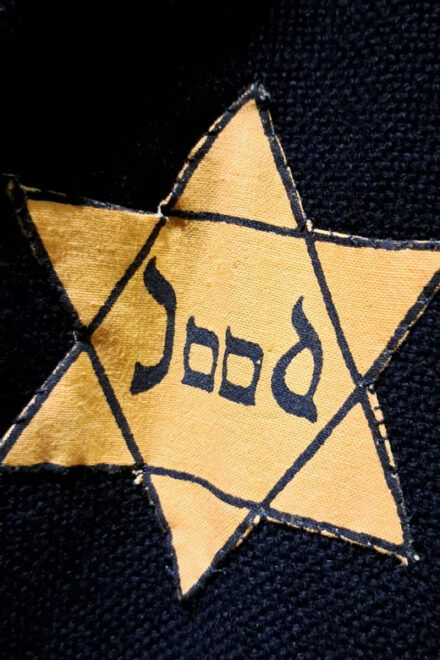 Amsterdam: Holocaust/ Jewish Tour - Holocaust Museum Overview