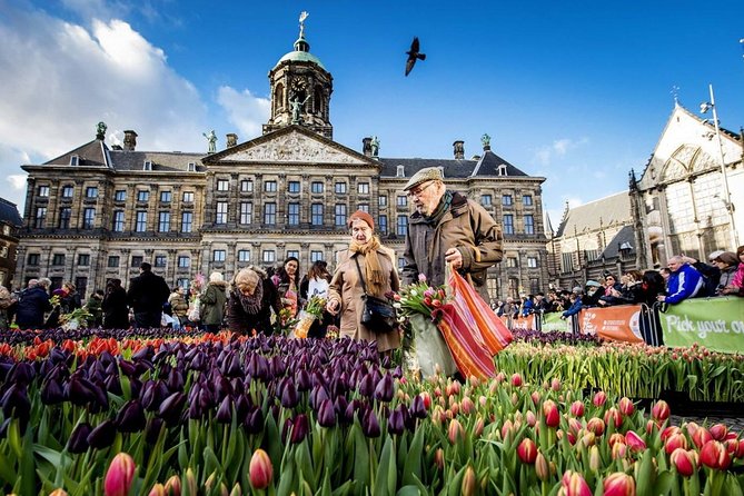 Amsterdam Interactive City Game Self-Guided Tour - Reviews and Additional Information