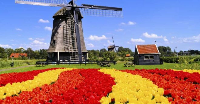 Amsterdam: Keukenhof and Tulip Fields Private Day Trip - Keukenhof: Floral Wonders
