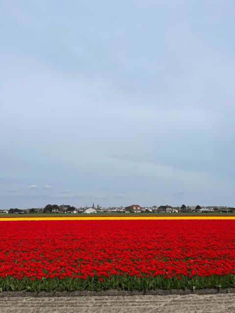 Amsterdam: Keukenhof and Tulip Fields Private Day Trip - Tulip Fields: Photogenic Landscapes