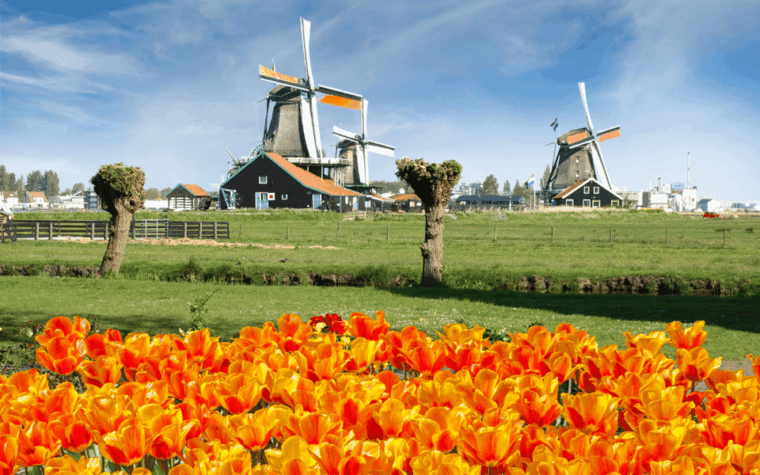 Amsterdam: Keukenhof and Zaanse Schans Windmills Day Trip - Who Will Love This Tour?