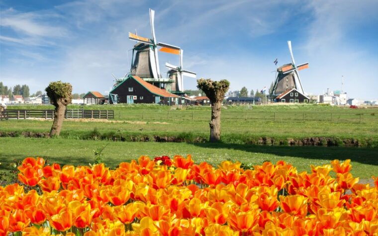 Amsterdam: Keukenhof and Zaanse Schans Windmills Day Trip - The Sum Up