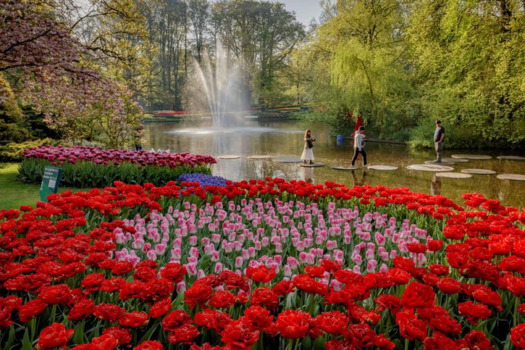 Amsterdam: Keukenhof and Zaanse Schans Windmills Day Trip - FAQs