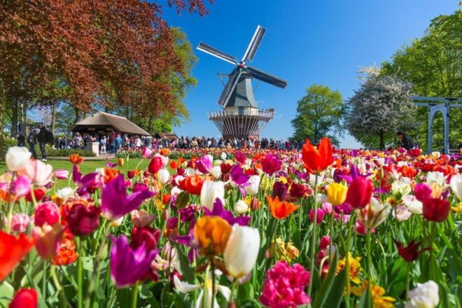 Amsterdam: Keukenhof and Zaanse Schans Windmills Day Trip - Schedule Options
