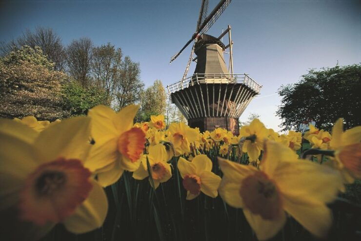Amsterdam: Keukenhof & Dutch Countryside Small Group Tour - Tour Duration and Itinerary