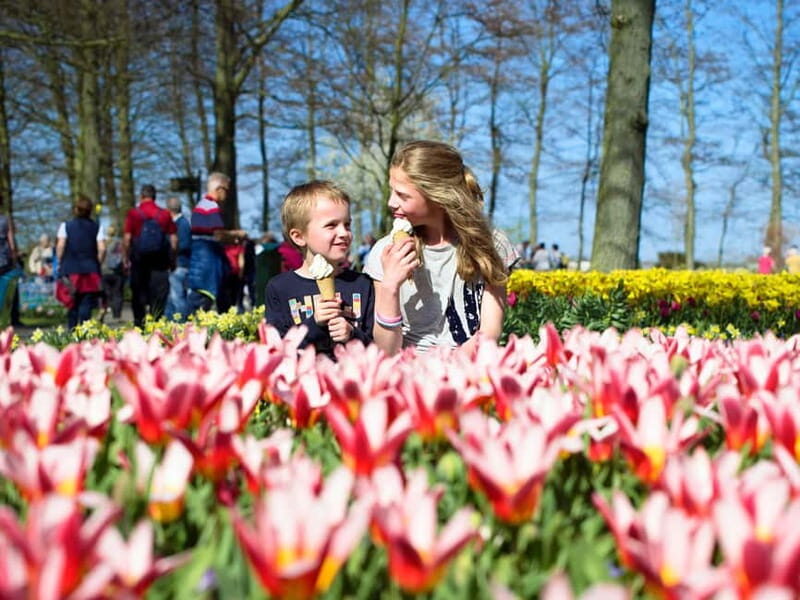 Amsterdam: Keukenhof Entry & Shuttlebus with Flexible Return - A thorough look at the Keukenhof shuttle tour experience