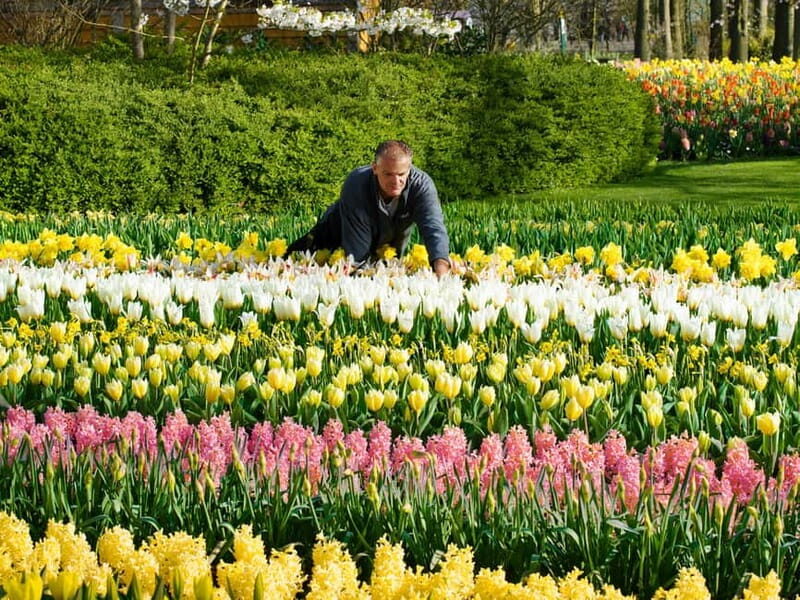 Amsterdam: Keukenhof Entry & Shuttlebus with Flexible Return - Final Thoughts: Who Should Book This Tour?