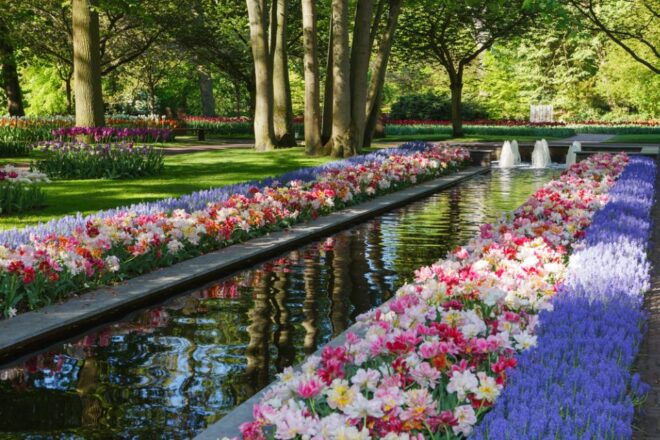 Amsterdam: Keukenhof Gardens Guided Tour - Inclusions and Exclusions of the Activity