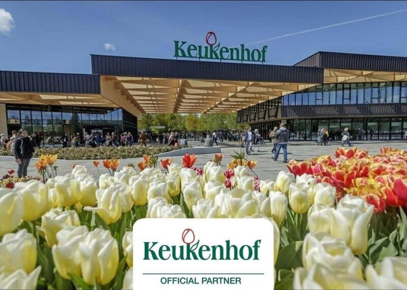 Amsterdam: Keukenhof Gardens & Tulip Fields Private Tour - A Closer Look at the Experience