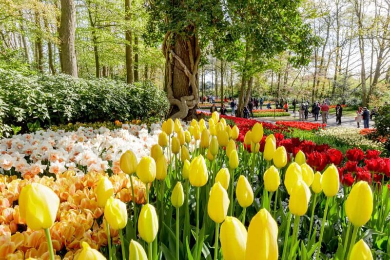 Amsterdam: Keukenhof Guided Tour and Flower Parade April 18 - FAQ