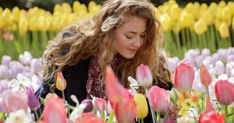 Amsterdam: Keukenhof Ticket and Roundtrip Shuttle Transfer - Final Thoughts
