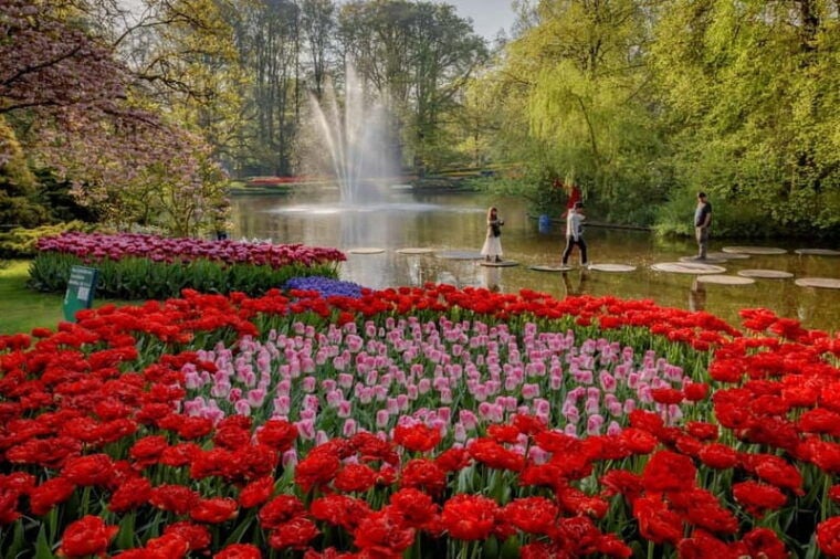 Amsterdam: Keukenhof, Tulip Farm Full-Day Tour with Cruise - Final Thoughts: Is This Tour Worth It?