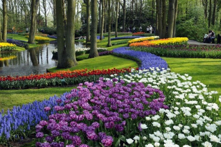 Amsterdam: Keukenhof, Tulip Farm Full-Day Tour With Cruise - Highlights