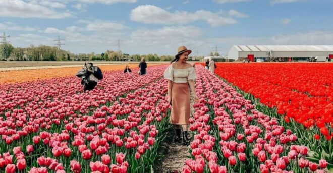Amsterdam: Keukenhof, Tulip Farm Full-Day Tour With Cruise - Schedule for the Day