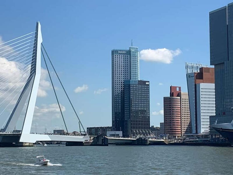 Amsterdam: Kinderdijk, Euromast, Delft and Den Haag Day Tour - Stop 6: Delft (75 minutes)