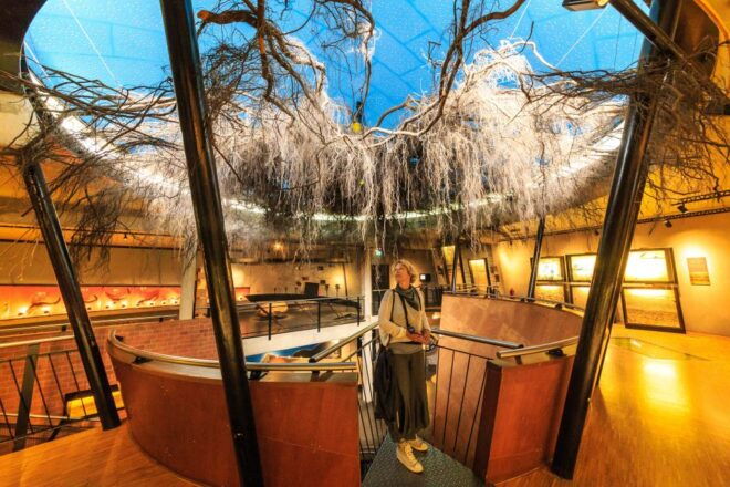 Amsterdam: Kröller Müller & N.P. The Hoge Veluwe Tour - Full Description