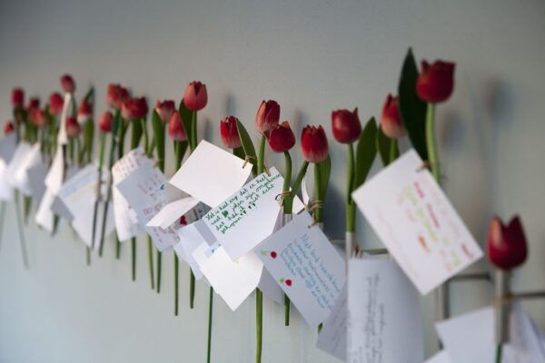 Amsterdam: Life of Anne Frank and Neighborhood Walking Tour - The Sum Up