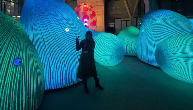 Amsterdam Light Festival Guided Bike Tour - Final Thoughts