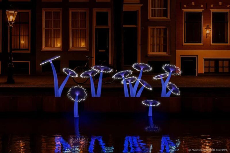 Amsterdam: Light Festival Open Boat Cruise - Good To Know