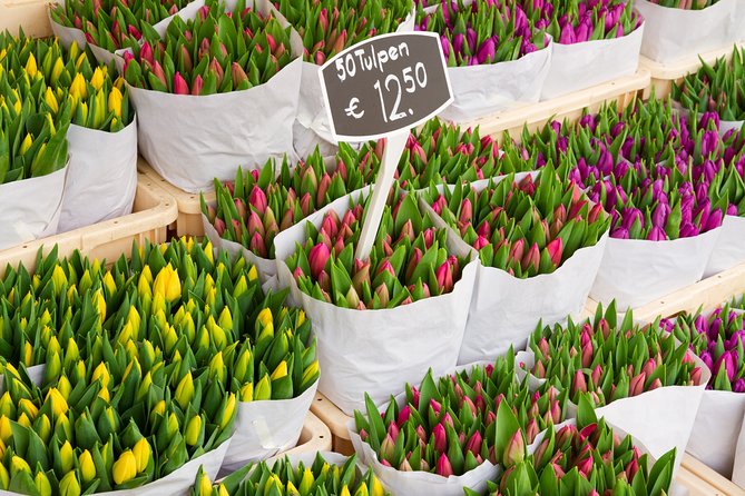 Amsterdam Local Transfer: Airport, Port, or City - How to Book a Private Transfer