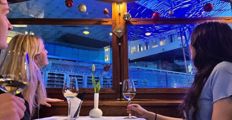 Amsterdam: Luxury Light Festival Canal Cruise With Drinks - Highlights of the Activity