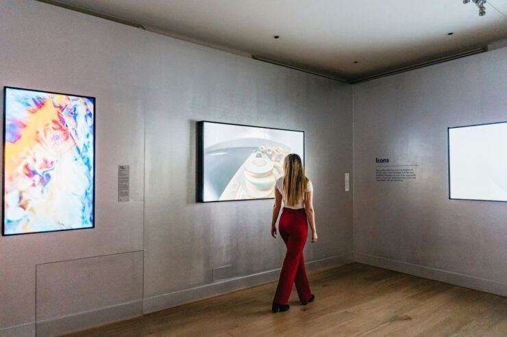 Amsterdam: Moco Museum Entrance Tickets With Banksy & More - Ticket Details