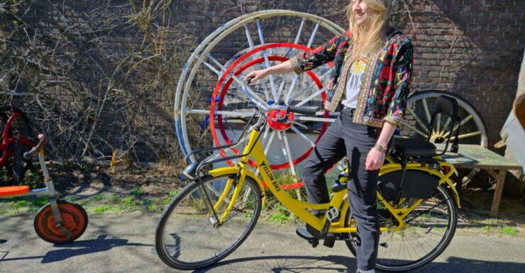 Amsterdam: North Amsterdam Bike Tour - Highlights