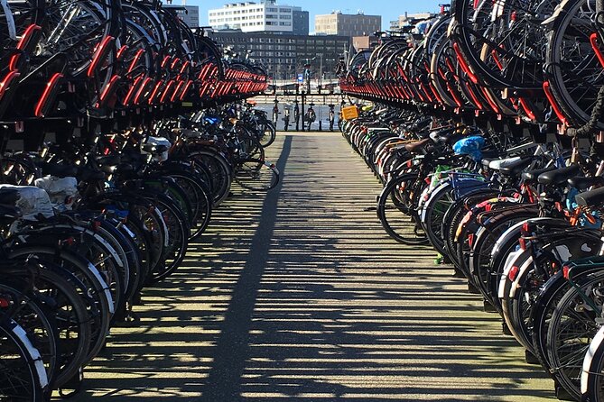 Amsterdam North Bike Tour - Common Questions