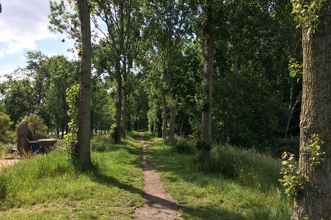 Amsterdam North Bike Tour - The Sum Up