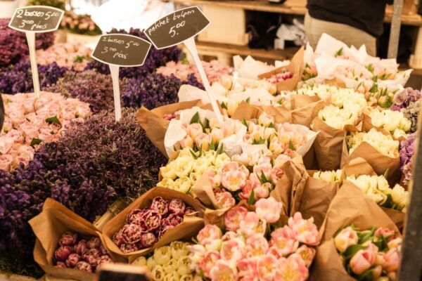 Amsterdam: Off-the-Beaten-Track Neighborhoods Private Tour - Common Questions