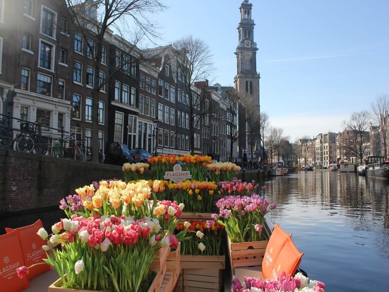Amsterdam: Premium Tulip Boat Canal Tour - Finding Prins Hendrikkade 33A