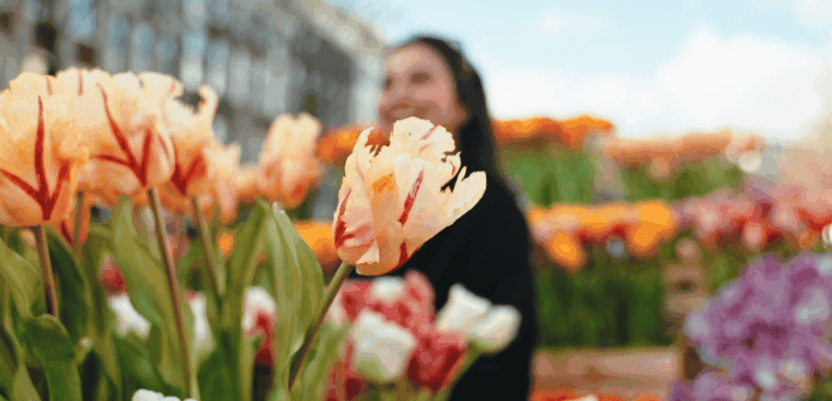 Amsterdam: Premium Tulip Boat Canal Tour - Final Thoughts