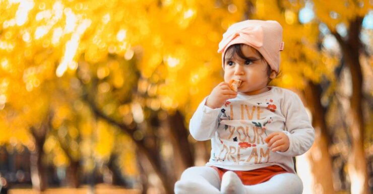 Amsterdam: Private Autumn Park Photoshoot - Experience Highlights