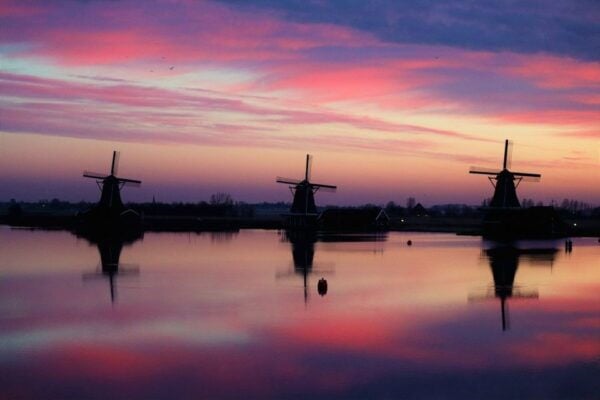 Amsterdam: Private Half-Day Countryside Bike Tour - Common Questions
