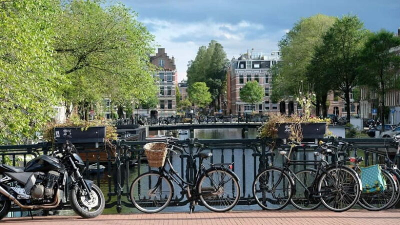 Amsterdam: Private Half-Day Guided Tour - Frequently Asked Questions