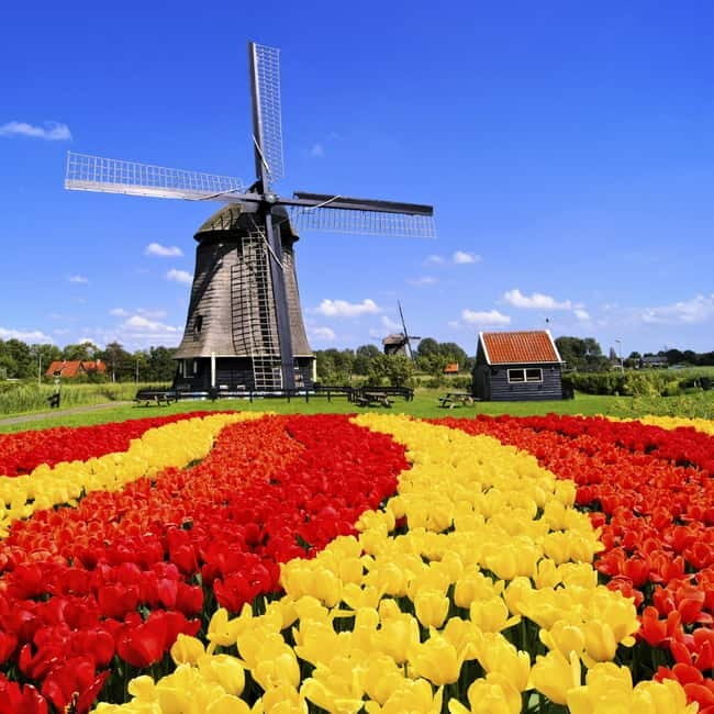Amsterdam: Private Keukenhof and Free Tulip Tour - Good To Know
