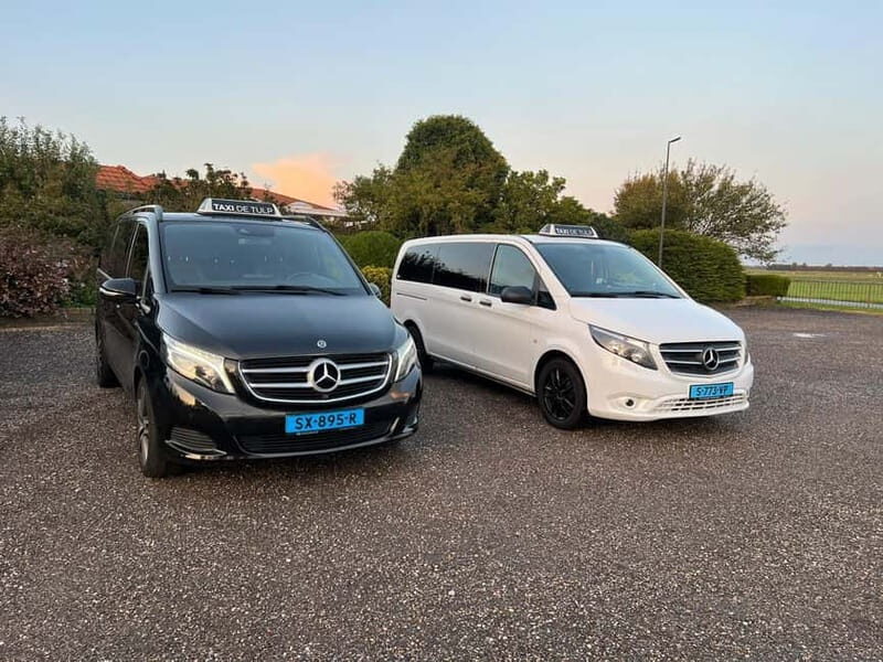 Amsterdam: Private Keukenhof and Free Tulip Tour - The Experience of the Guides: What Sets Them Apart?