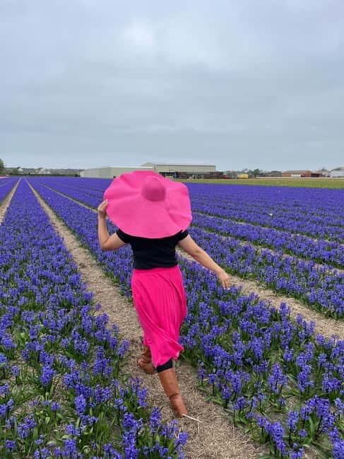 Amsterdam: Private Keukenhof and Free Tulip Tour - Transportation and Comfort: Why It Matters