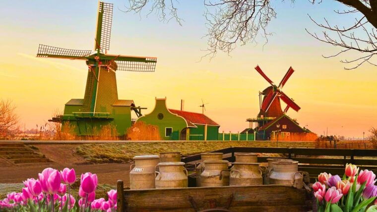 Amsterdam: Private Tour Giethoorn, Zaanse Schans Local Guide - Practical Aspects and Considerations