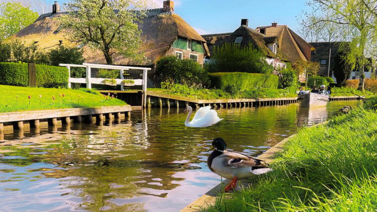 Amsterdam: Private Tour Giethoorn, Zaanse Schans Local Guide - FAQs About the Tour