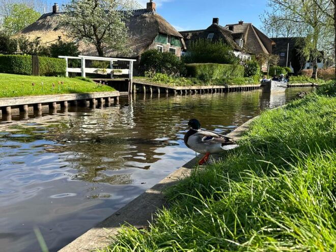 Amsterdam: Private Tour Giethoorn, Zaanse Schans Local Guide - Inclusions and Amenities