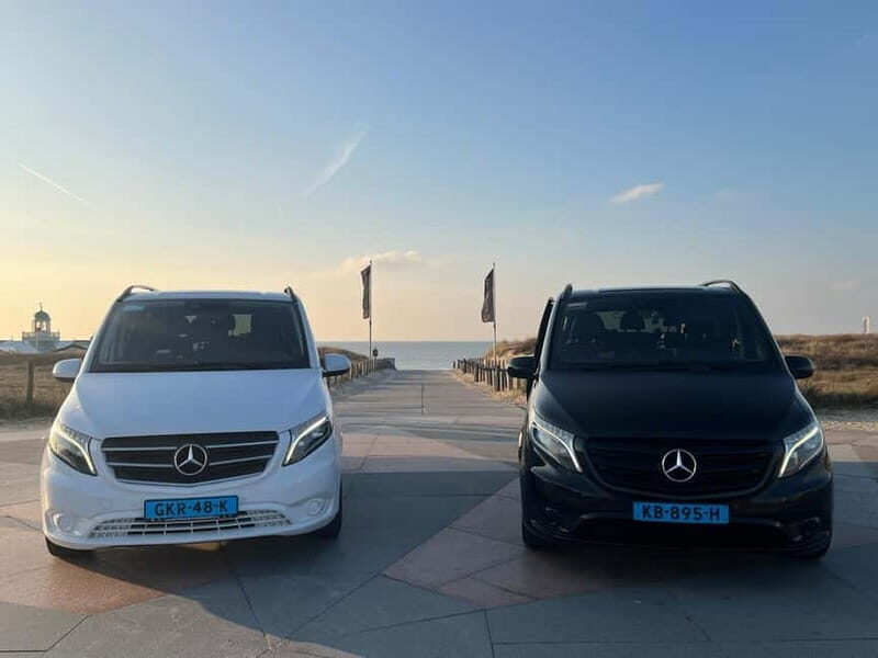 Amsterdam: Private Tour to Keukenhof & Free Tulip Experience - An In-Depth Look at the Tour Experience