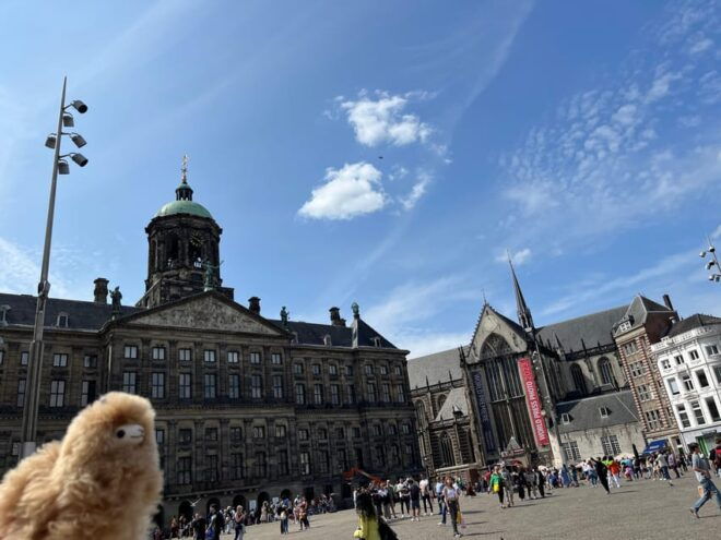 Amsterdam Private Walking Tasting Tour - Tour Inclusions
