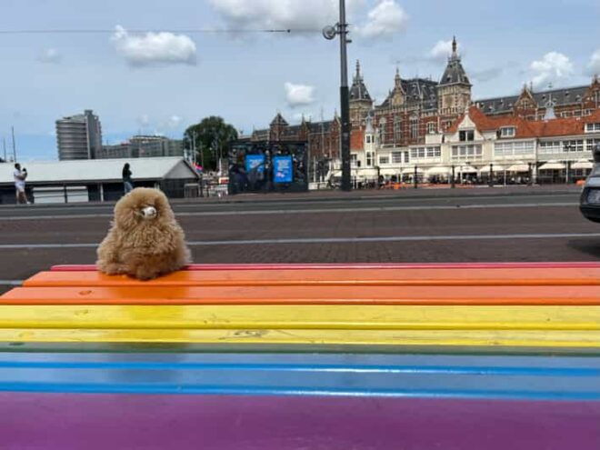 Amsterdam Private Walking Tasting Tour - Visiting Iconic Landmarks and Viewpoints