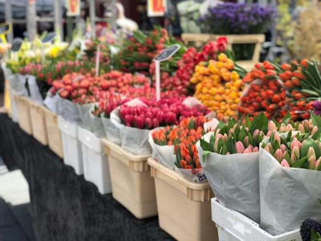 Amsterdam Private Walking Tour With a Local Host - Inclusions and Exclusions