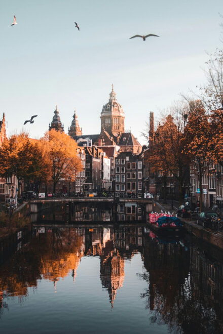 Amsterdam Red Light District Tour - Tour Highlights
