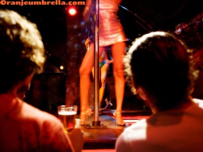Amsterdam: Red Light Rendezvous, Striptease Show and Dinner - Sophisticated Atmosphere and Ambiance